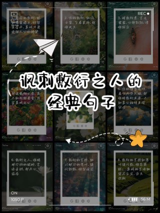 〖从新鲜感到敷衍的句子〗
