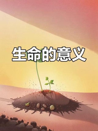 陈春花：学会感恩，理解生命的真谛