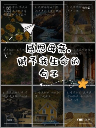 感恩妈妈暖心短句120句