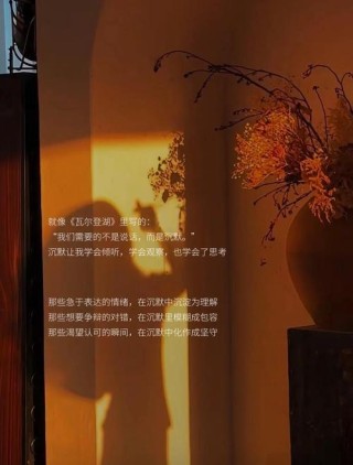 沉默是金，有的时候保持沉默比争辩更管用
