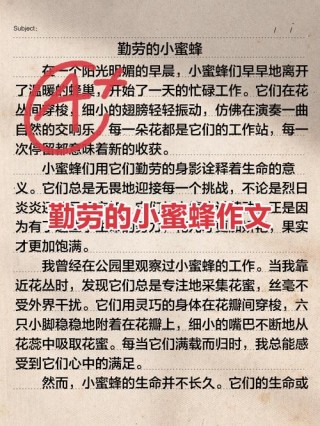 动物素材：描写蜻蜓、蜜蜂的好词好句好段！