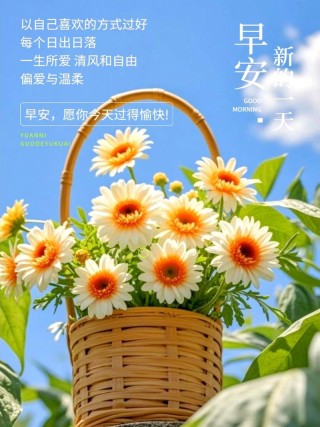 你若阳光，便会灿烂；你若善良，人间温润，早安