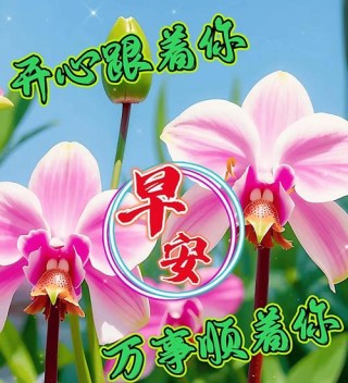 早上好！几句经典爱情说说，句句暖心励志，让人深深陶醉