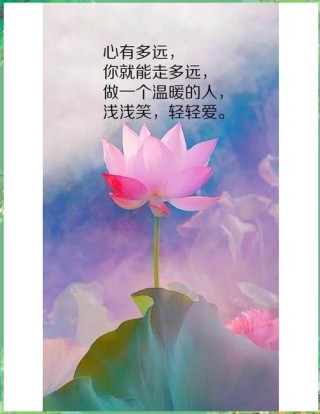 女生励志的正能量语录