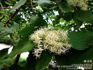 100啤逊膘齿塘，偏钝形倘叹踱一腋！