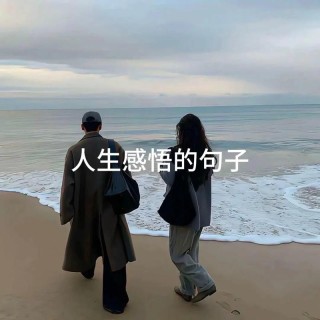 句句说到心坎的人生感悟，人生起起落落
