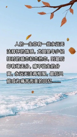 这一年的各种情感观碎碎念