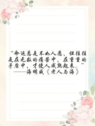 赞美阅读的精美句子，阅读之美，字里行间的诗意之旅