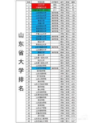 山东高考排名294000-295000位次能上什么大学（2026）