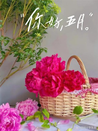 温柔唯美的五月文案