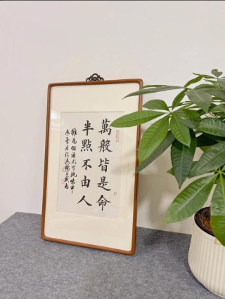 我命由我不由天？还是万般皆是命 ，半点不由人