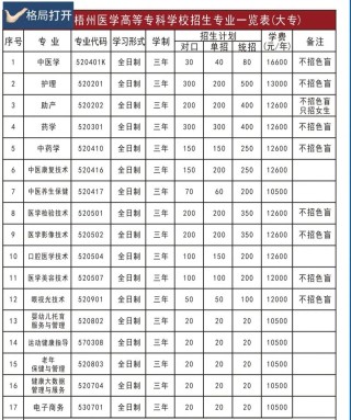 梧州职业学院在湖北2026各专业招生人数、录取分数线（附：招生计划表）