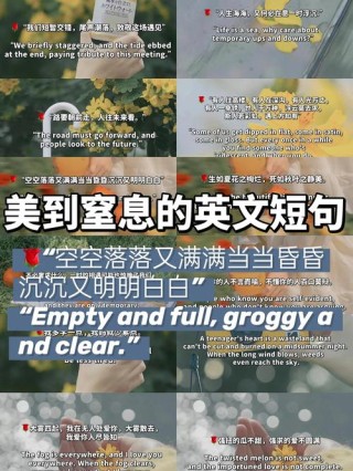 最适合发朋友圈的中英双语美句