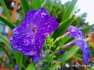 散文，此刻，时光正好