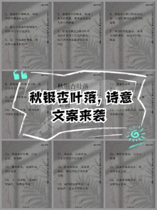 50句秋天唯美落叶文案，何止是浪漫！