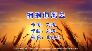 多想抱抱你，生怕时间翻云覆雨，再次拥抱已是别离