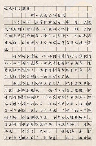 高一学生我的一次创意体验征文