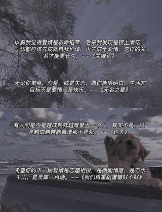 “那些拉你上岸的救赎文案”