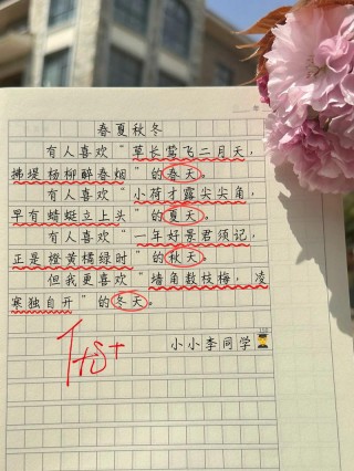 描写四季的句子:可用作文中