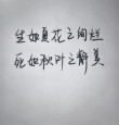 凉生，寂寞独我，那一季花开到萎糜