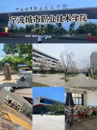 宁波城市职业技术学院排名全国第几 省内多少位（2025最新）