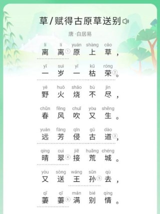 路边有水宜种草 （打一字）