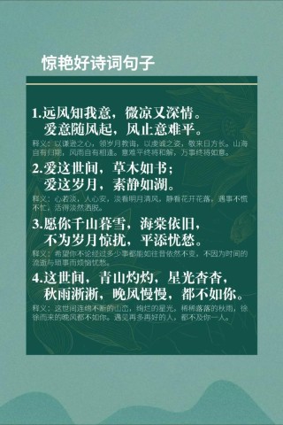 令人神清气爽的精美句子，舒缓情绪，唯美入心