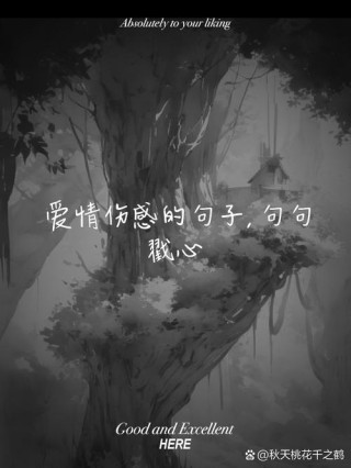 爱情经典语录，爱情经典语录，永恒的情感箴言
