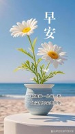 早安心语：一切都是最好的安排，活在当下，别活在过去