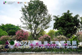 花展 （打三字国名）
