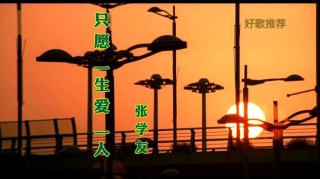 只愿一生爱一人