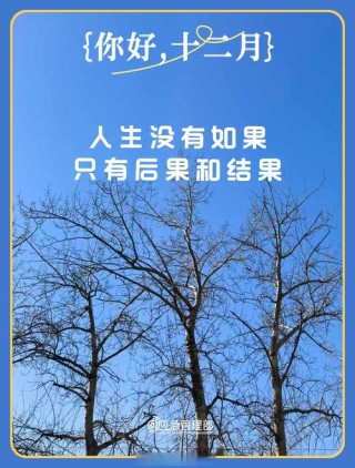 早安励志语录：人生没有如果，只有后果和结果