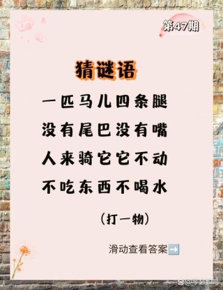 谜语之最――谜语大全