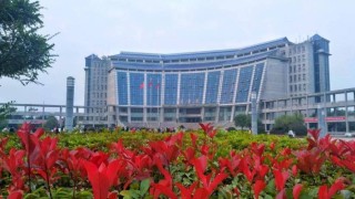 岳阳有哪些职业技术学院