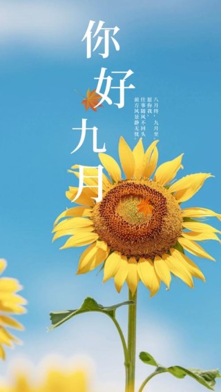 八月再见，九月你好唯美文案，总有一句适合你