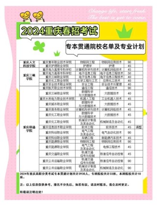 重庆标准化工程专业大学排名及分数线（哪个学校好）