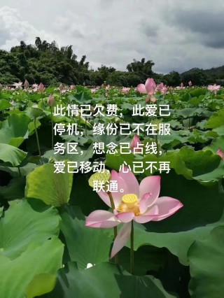 下联：情已欠费，爱已停机，缘分不在服务区。上联令人拍案叫绝