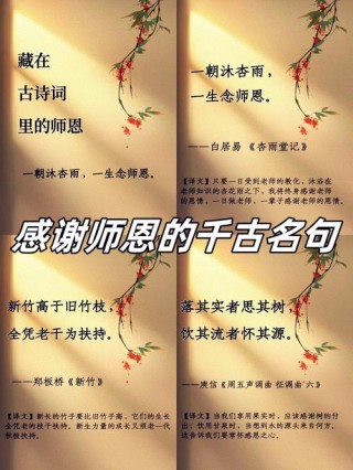感谢老师最朴实的句子70条经典语录大全