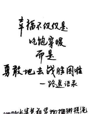 生活的旅程，勇敢重启，珍惜每一刻，发现真正的幸福和生活的智慧