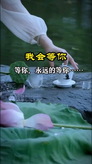 等你盼你，一往情深，想你永远