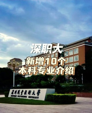 深圳技术大学商务英语专业好不好？排名怎么样