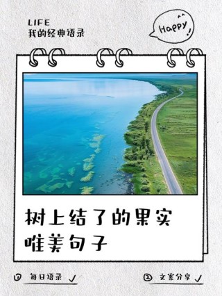 果子语录：一百四十一