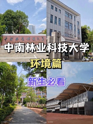中南林业科技大学生物科学专业怎么样？排名好不好