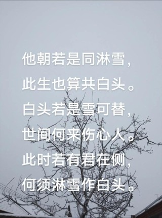 初雪：谁的前世，染指了微凉，谁的今生，执捻了落花