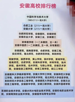 安徽高考历史类排名112000-113000位次能上什么大学（2026）