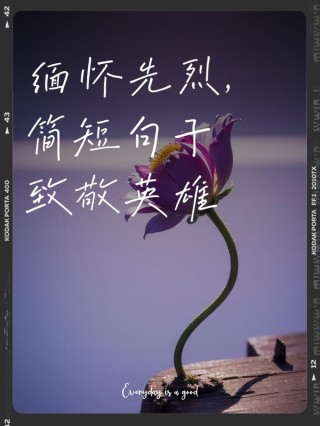 清明祭英烈，走心是最好的追思与继承