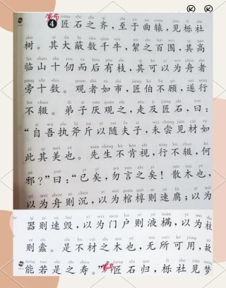庄子《人间世》名句名段赏析