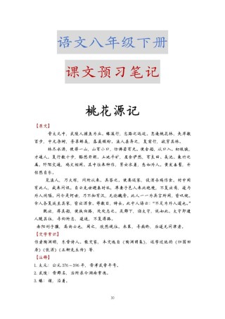 服装尽崇洋 （打《桃花源记》二句）