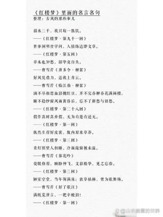 《红楼梦》里有多少金句？