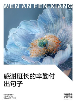 教育之路上的辛勤付出，表达敬意的句子